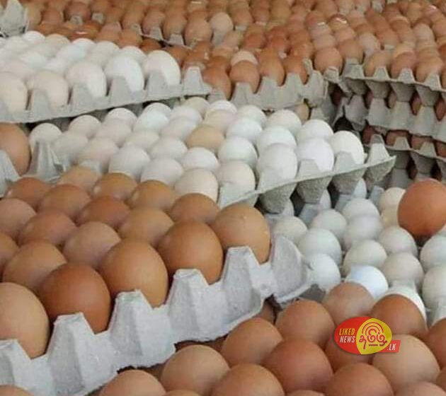 இந்த வாரத்தில் முட்டை இறக்குமதி…!