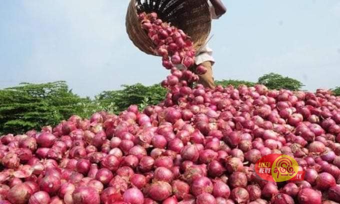  பாகிஸ்தானிலிருந்து பெரிய வெங்காயம் இறக்குமதி!