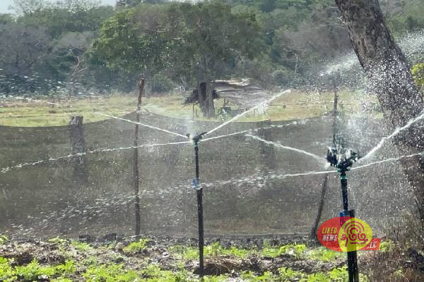 முல்லைத்தீவில் மின்சாரம் இன்மையால் அவதியுறும் மக்கள்